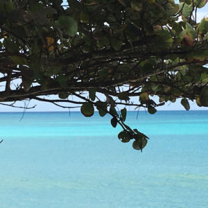 Marie-Galante villa Coco Caline vue